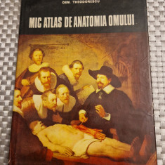 Mic atlas de anatomia omului Dem. Theodorescu