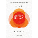 Carte Editura Litera, Mica enciclopedie Ikigai, Ken Mogi