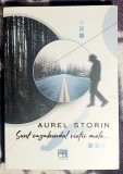 Sunt vagabondul vietii mele - Aurel Storin