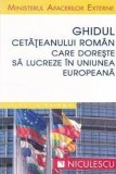 Ghidul Cetățeanului Lucrător &icirc;n UE - Ministerul Afacerilor Externe, 2009, 167 pagini - Sociologie