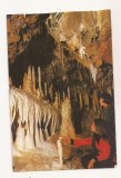 RF83 - Carte Postala - Pestera Ursilor - Chiscau, Jud Bihor, necirculata