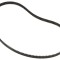 Curea de transmisie 80S3M519 masina de facut paine 519MM