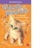 Pisicuta fermecata. O trasnaie in miez de noapte - Sue Bentley