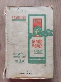 Domnita Viorica - Vasile Pop, Minerva 1905, Carte Veche, Bibliofilie, 314 pagini