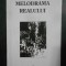 Gheorghe Izbasescu - Melodrama realului