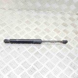 Amortizor Haion Dreapta Tesla Model 3 2019 OEM 1091560-00-B Portbagaj