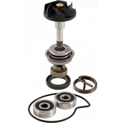 Kit pompa apa Piaggio Beverly 250 06-07 Cod Produs: MX_NEW 100110210RM foto
