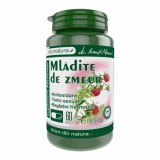 MLADITE DE ZMEUR 60CPS