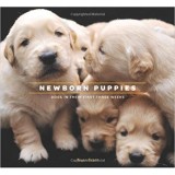 NEWBORN PUPPIES