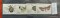 Foto  - 1
