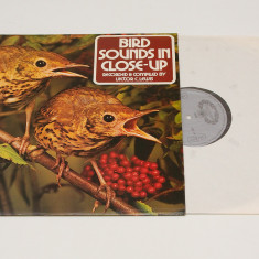 Victor C. Lewis – Bird Sounds In Close Up - disc vinil vinyl LP