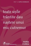 Toate usile trantite dau nastere unui mic cutremur - Manuscris Castigator Concurs Debut Maria Ciurea, Editia 2025