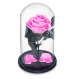 Cumpara ieftin Trandafir Criogenat roz &Oslash;6,5cm in cupola de sticla, cu mesaj