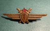 Insigna Pilot Militar RPR Cl 1 1952 1966