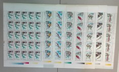 TIMBRE ROMANIA LP1274/1992 J.O.de iarna ALBERTVILLE 8 COLI MNH (vezi descriere) foto