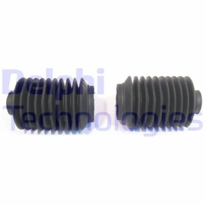 Delphi Ansamblu burduf, directie foto