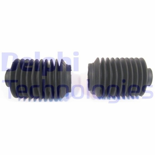 Delphi Ansamblu burduf, directie