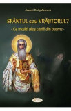 Sfantul sau vrajitorul? - Andrei Dragulinescu