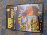 Dvd copii Enciclopedia Junior vol. 11