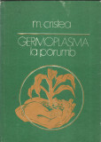 AS - M. CRISTEA - GERMOPLASMA LA PORUMB