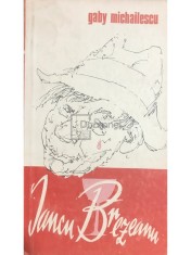 Gaby Michailescu - Iancu Brezeanu (Editia: 1984) foto