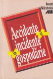 Ioan Nastoiu - Accidente si incidente in gospodarie. Cauze, prevenire,, 2001, Brosata