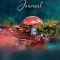 Microdosing Journal: Amanita Muscaria (Fly Agaric) Version. Your Healing Journey Starts Here: Psilocybin Mushroom (Magic Mushroom) Version.