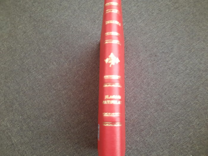 FLACARI CATIFELATE de MAURICE DEKOBRA , 1928 LEGATA DE LUX