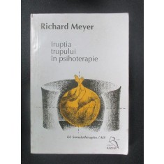 Iruptia trupului in psihoterapie Richard Meyer