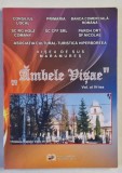 AMBELE VISAE , VOLUMUL IV , COMINICARI LA SIMPOZION , 2011