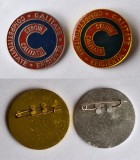 Cercul CALITATII - Competivitate - Eficienta, Lot x 2 variante diferite insigna