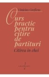 Curs Practic Citire Partituri in Chei - Vinicius Grefiens - Carte Muzica