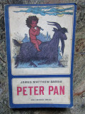 Peter Pan - James Matthew Barrie IN LIMBA GERMANA