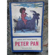 Peter Pan - James Matthew Barrie IN LIMBA GERMANA