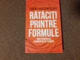 Sabine Hossenfelder - Rataciti printre formule