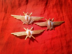 Set 3 Insigne Militare URSS - Fortele Aeriene Militare Sovietice cca.1966 - Pilot ,Navigator , Instructor - Clasele:1,2,3 , metal si email , L=7,5cm