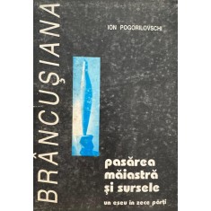 Ion Pogorilovschi, Pasărea Măiastră şi Sursele