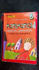 MATEMATICA ALGEBRA GEOMETRIE CLASA A VIII A SEMESTRUL II ANTON NEGRILA