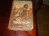 F. I. Panfiorov - Bruschi volumul 2 (1953), Alta editura