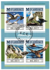MOZAMBIC 2015 - Pasari marine, Albatrosi / set complet - bloc + colita ( 2 imagini)