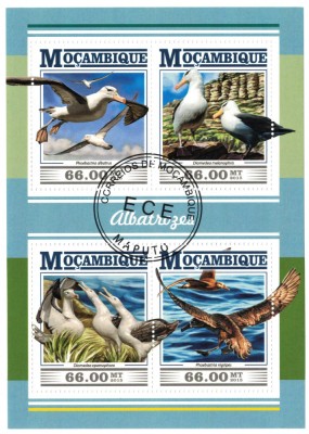 MOZAMBIC 2015 - Pasari marine, Albatrosi / set complet - bloc + colita ( 2 imagini) foto