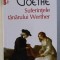 SUFERINTELE TANARULUI WERTHER de JOHANN WOLFGANG VON GOETHE , 2015
