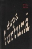 Dupa furtuna - Vilis Latis, Editura pentru Literatura Universala, Roman