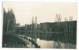 5185 - CRAIOVA, Bibescu Park, Romania - old postcard, real Photo - unused - 1932, Circulata, Fotografie