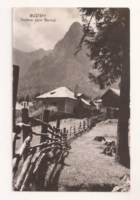 RF45 -Carte Postala- Busteni, vedere spre Bucegi, circulata 1963