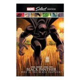 Cumpara ieftin Black Panther