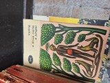 A doua carte a junglei vintage
