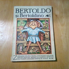 BERTOLDO SI BERTOLDINO - A. Lazarescu - SILVIU BAIAS (ilustratii) -1984, 79 p.