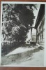 Carte postala, Bucuresti Scoala Centrala de Fete, fatada dinspre gradina, perioada interbelica
