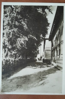 Carte postala, Bucuresti Scoala Centrala de Fete, fatada dinspre gradina, perioada interbelica foto